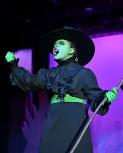 Student performance of Wicked