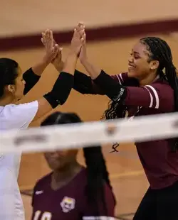 Volleyball players high-five on court