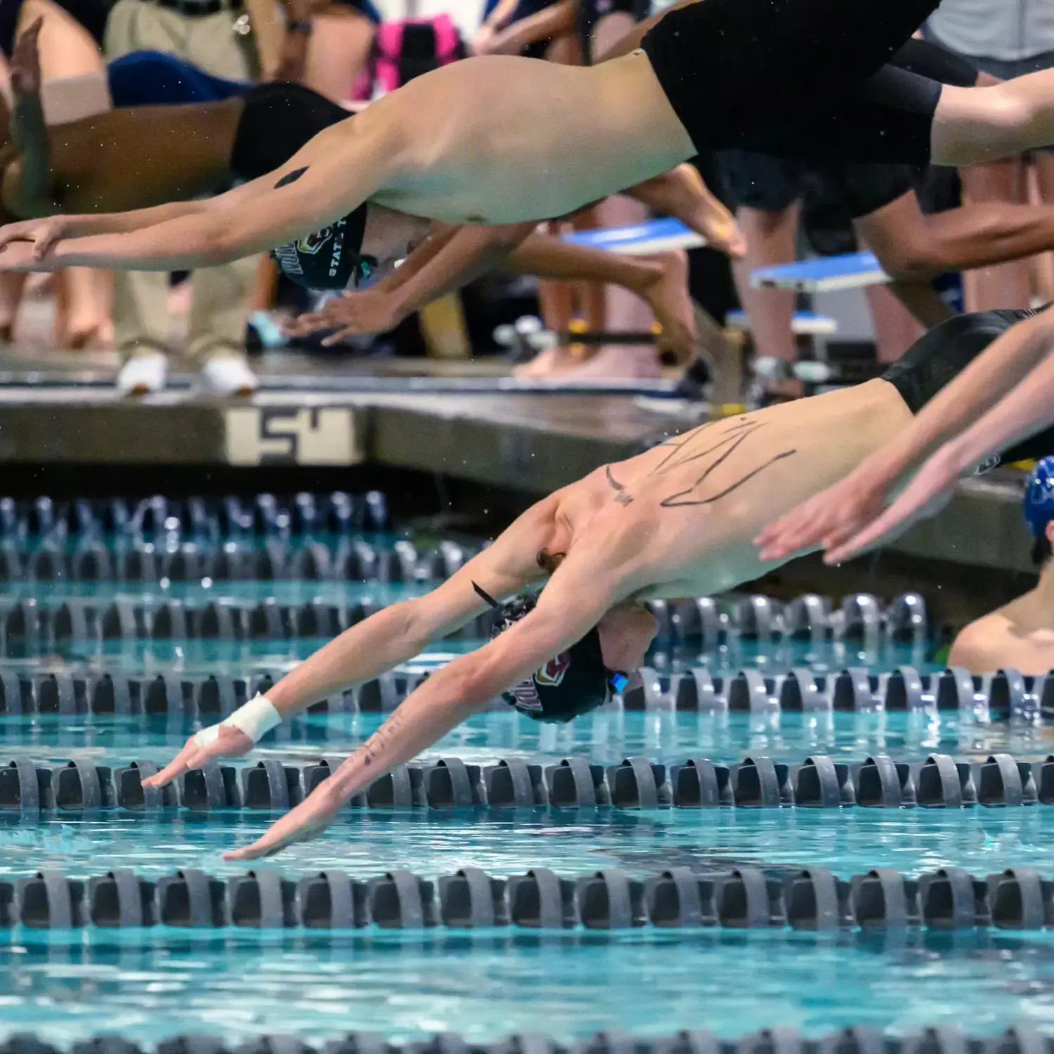 Swimmers diving into a pool