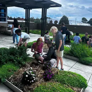 Rooftop garden