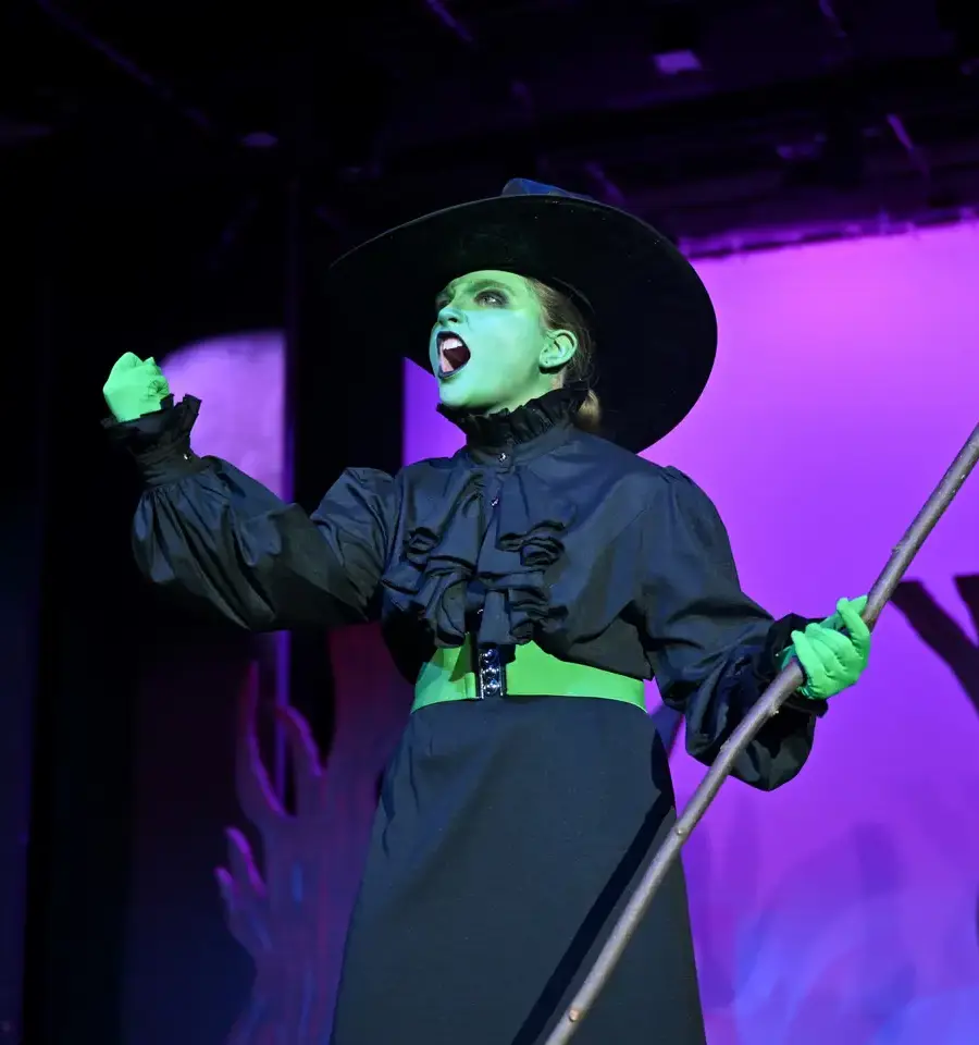 Student performance of Wizard of Oz